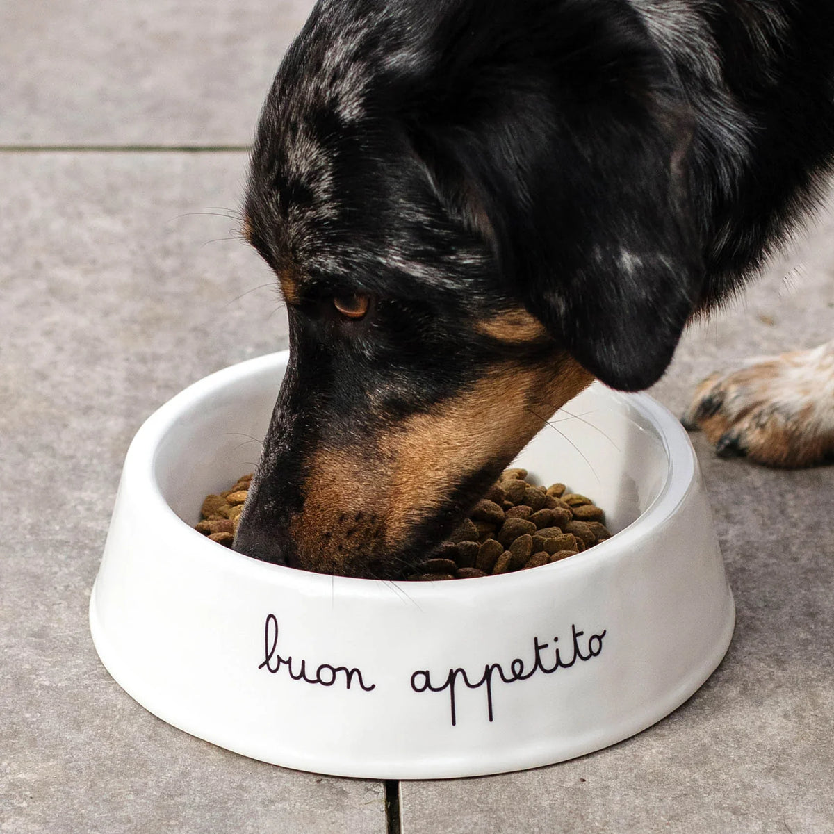 Simple Day Ciotola Per Animali Buon Appetito - Tg.L