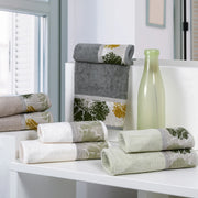 Creole Home Set Asciugamani 1+1 In Spugna Di Cotone Con Bordo Fantasia Vega