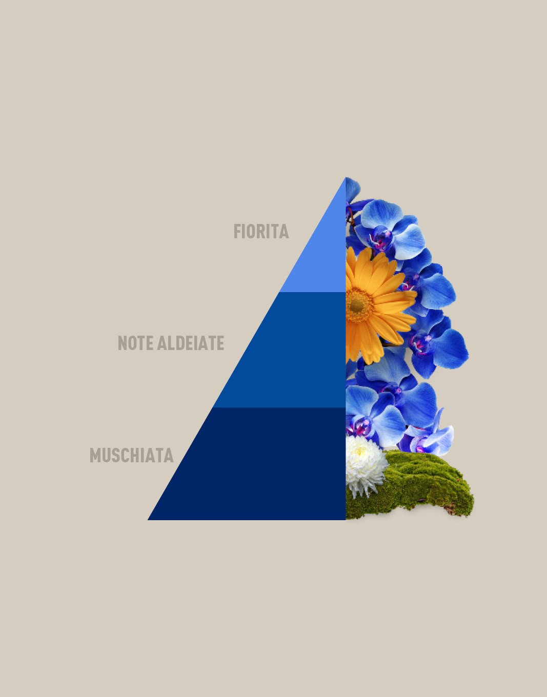 Horomia Profuma Bucato Blue Fior Di Loto