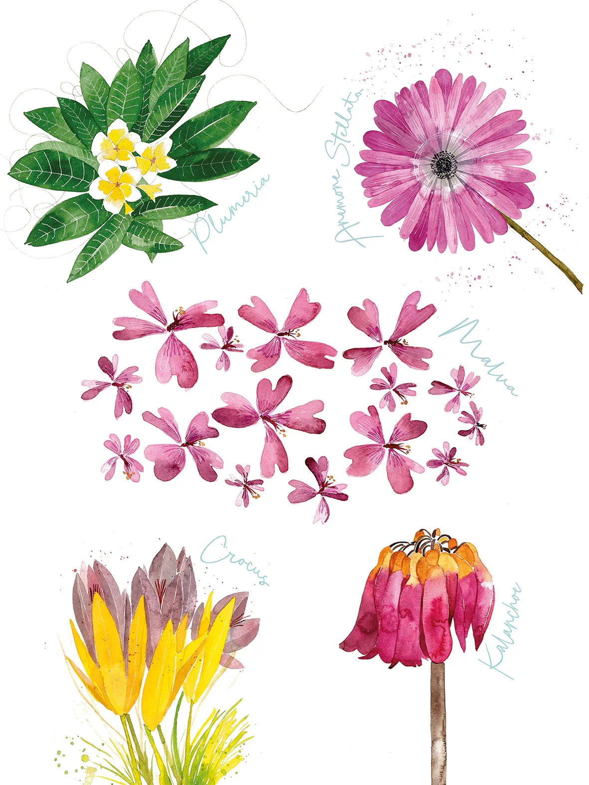 Napking Strofinaccio In Lino Premium Stampato Flora Rosa