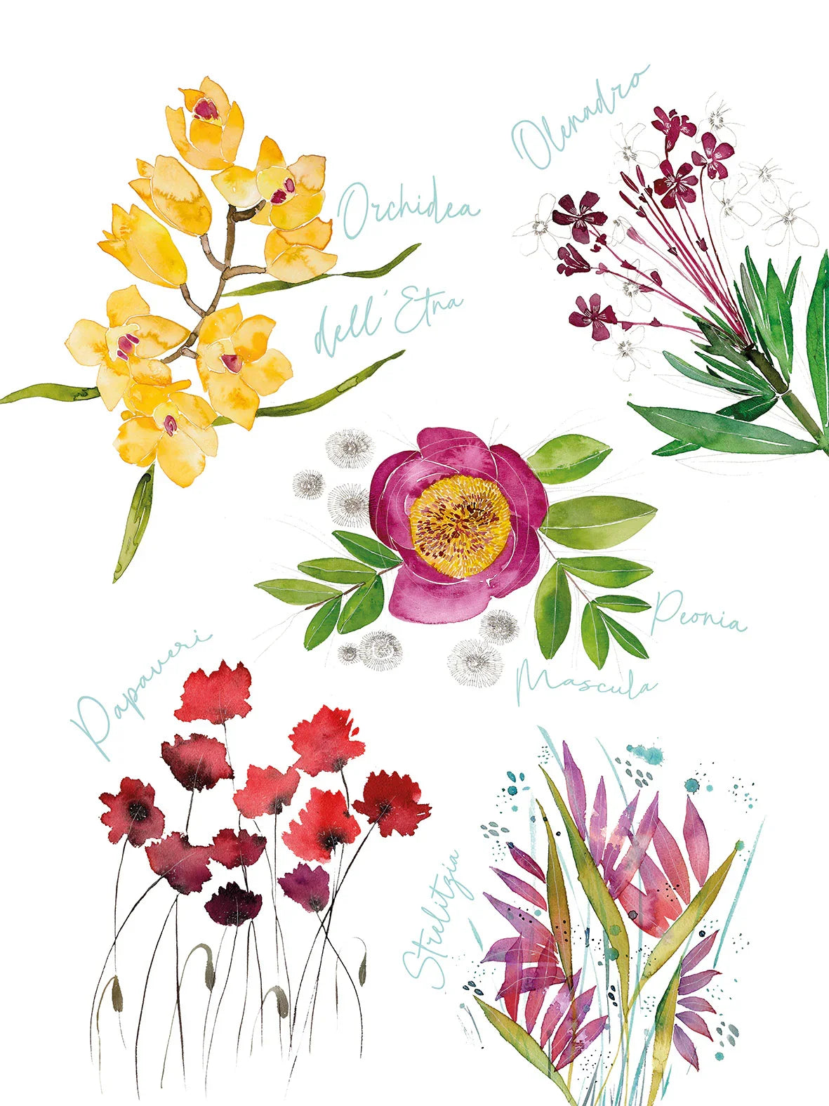 Napking Strofinaccio In Lino Premium Stampato Flora Rosa