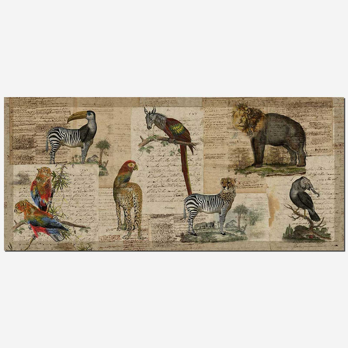 TESSITURA TOSCANA TELERIE TAPPETO TIPTAPP DARWIN