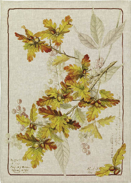 Tessitura Toscana Telerie Strofinaccio In Lino Arbousier Ghiande