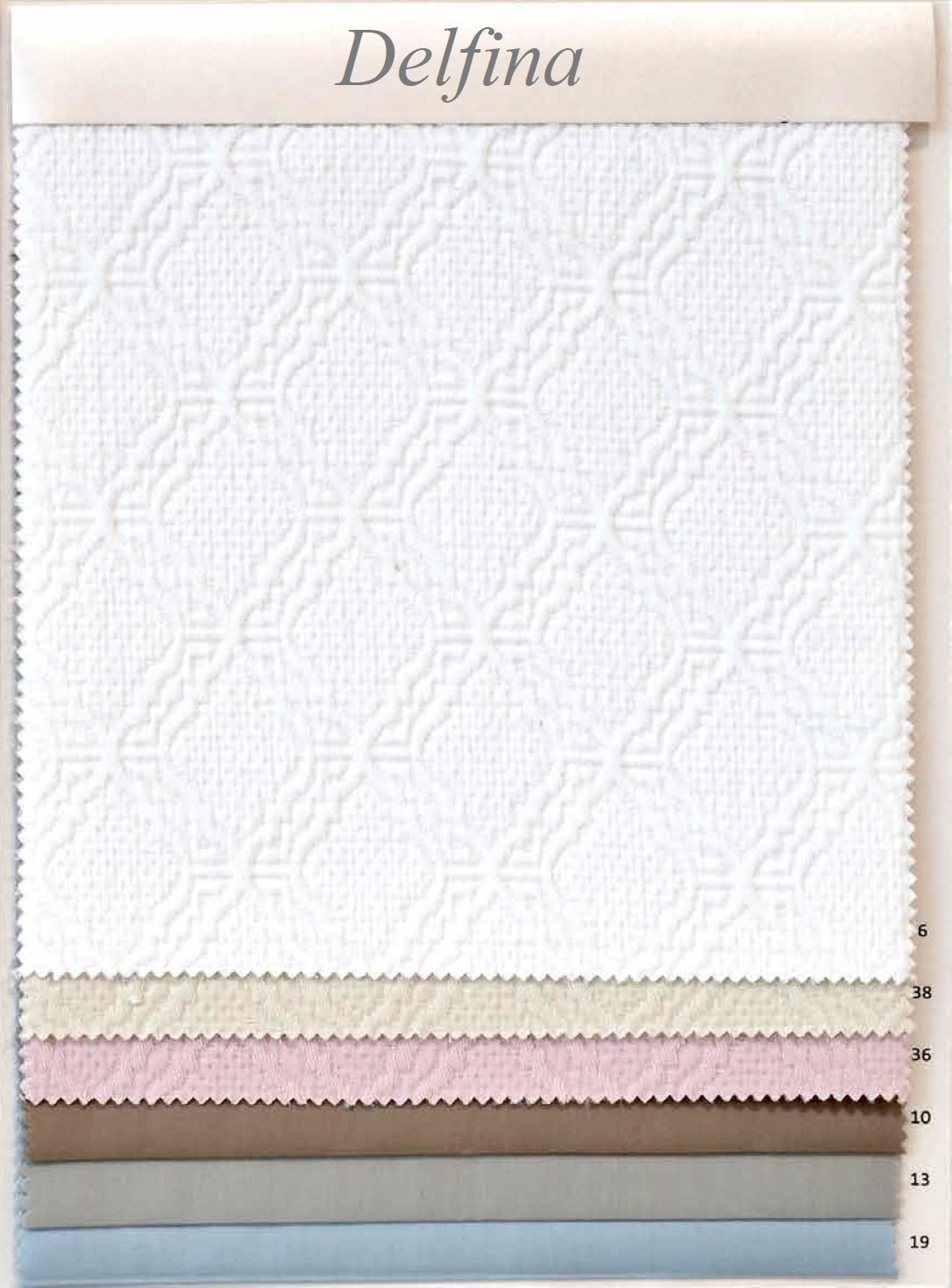 cartella colori delfina