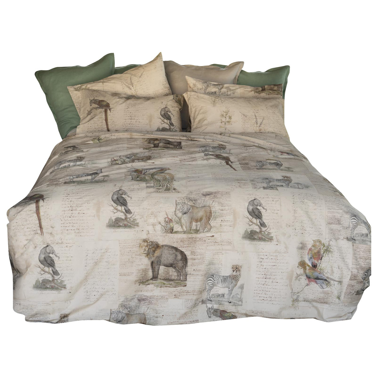 Tessitura Toscana Telerie Parure Copripiumino Singolo Double Face Darwin