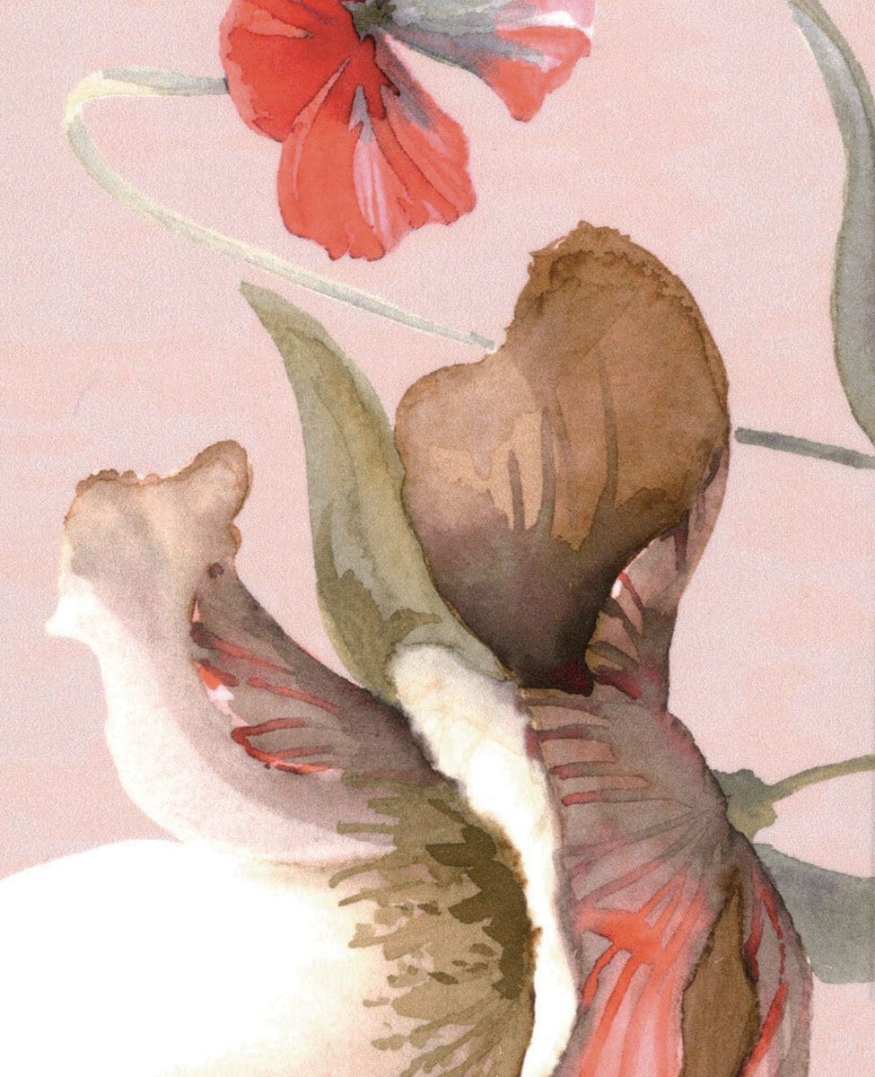 Blumarine Trapunta Matrimoniale In Raso Di Cotone Fleurette