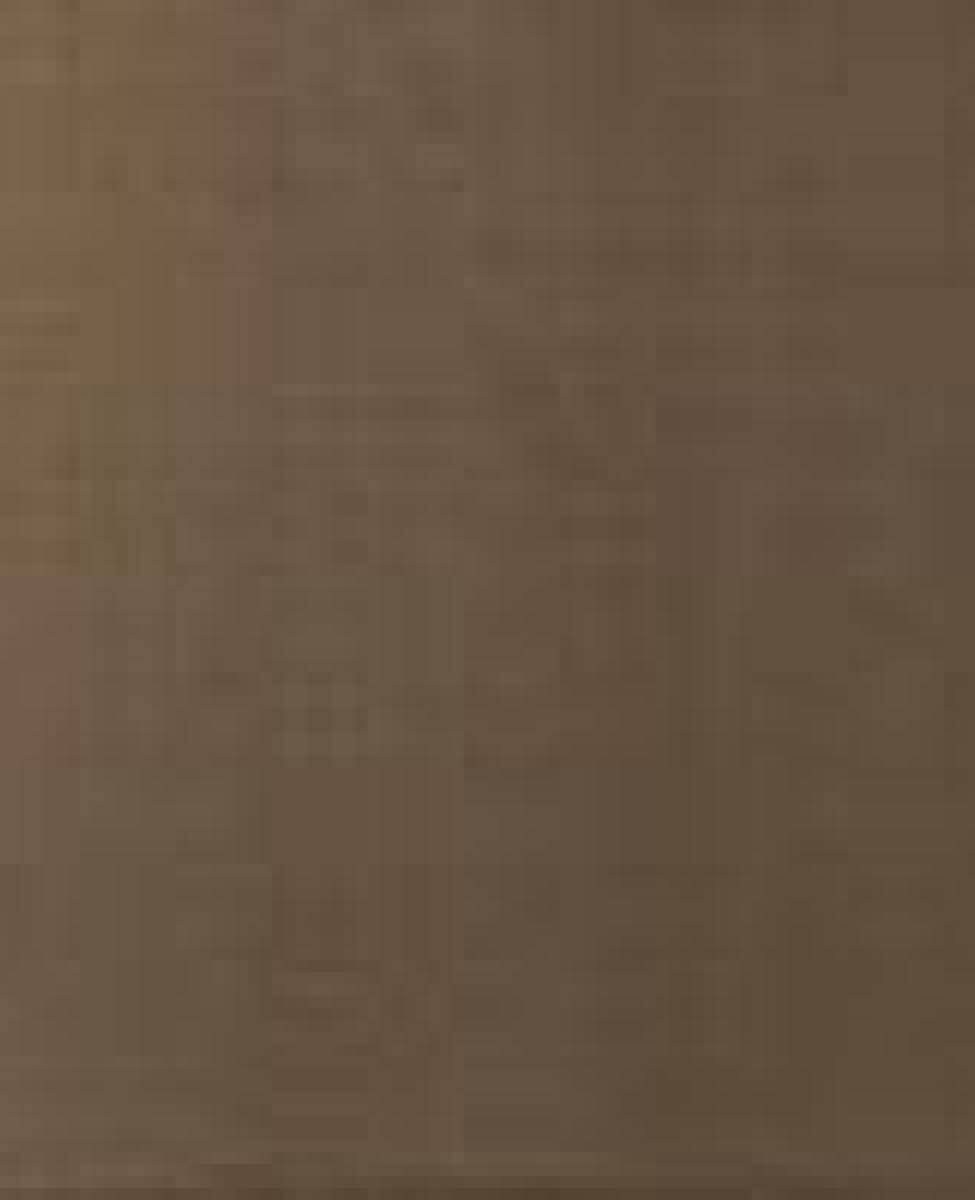 Blumarine Cuscino Arredo In Raso Di Cotone 60X60 Lory