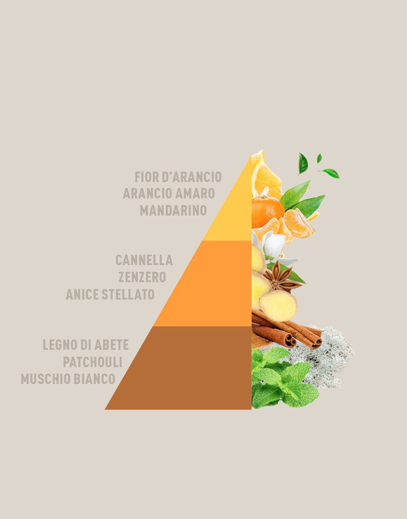 Horomia Diffusore A Bastoncini Arancio E Cannella 200 Ml