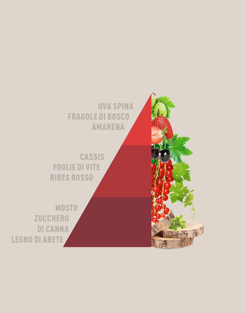 Horomia Ricarica Per Diffusore A Bastoncini Vigneto Rosso 500 Ml